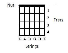 How to Read Chord Diagrams